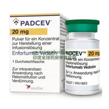 恩诺单抗,enfortumab vedotin-ejfv,Padcev(欧版）